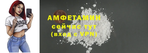 Альфа ПВП Краснослободск