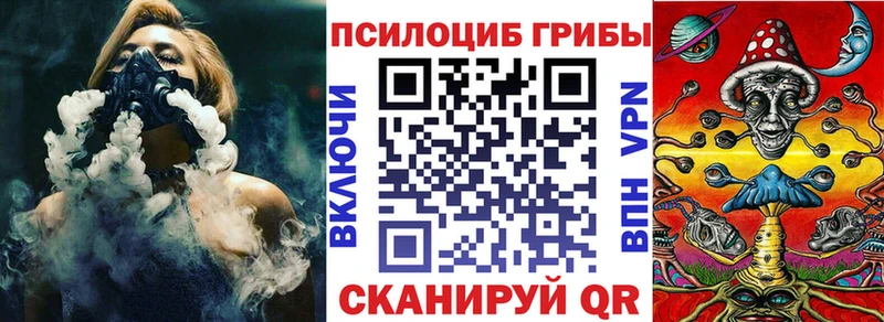 Псилоцибиновые грибы Psilocybe  Купить закладки  Беломорск 